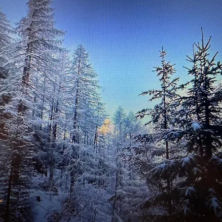 בית נופש Winterheim *